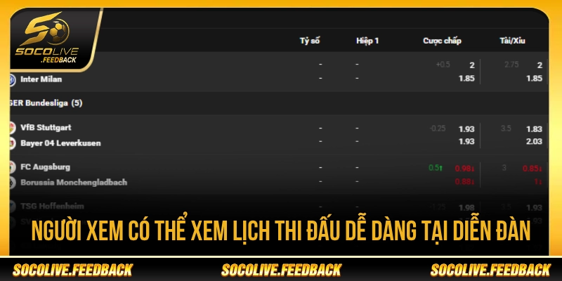 Người xem có thể xem lịch thi đấu dễ dàng tại diễn đàn 